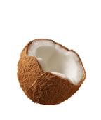 Cocos