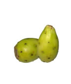 Tunas